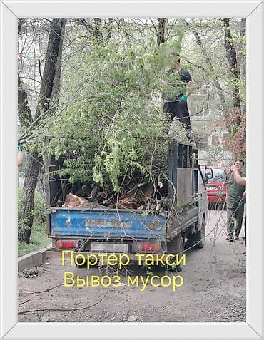 w210 e280: Вывоз мусора и грузовое такси на Porter - Вывозим ветки, древесные — 1