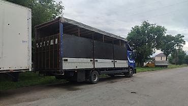 гетс 1: Грузовик, MAN — 2