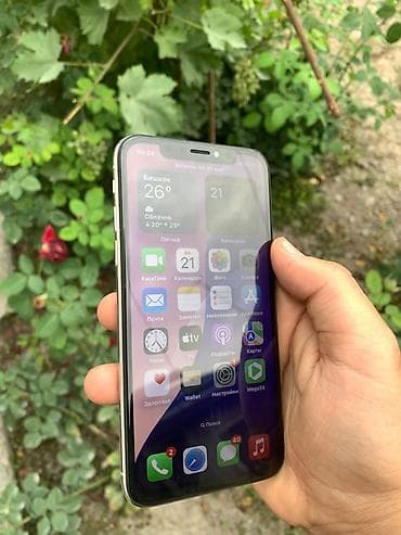pro m1: IPhone Xs, Серебристый, Защитное стекло — 2