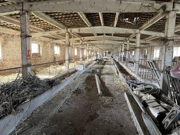 советский щербакова: Продаю Здание, Действующий 5300 м² — 5