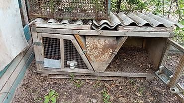 Комплект для хозяйства: уличный вольер/клетка для животных