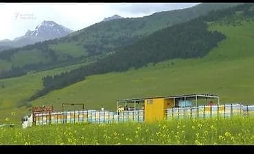 Нам нужен помощник на пасеку. Возраст 18-55. Зарплата договорная