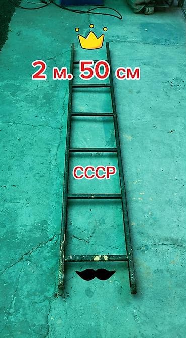 Лестница 2 м. 50 см качество СССР Торг уместен. Надёжная. Прослужит