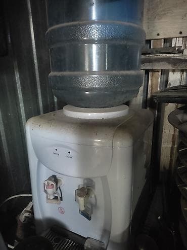 Птицы: На выбор. Если интересно цены уточняем здесь или звоним! — 7