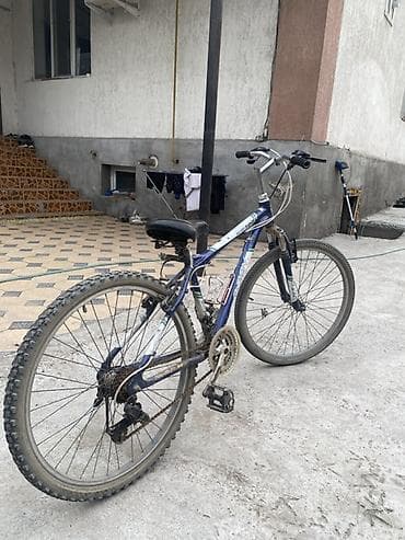 tourney: Горный велосипед, Stels, Рама M (156 - 178 см), Сталь — 2