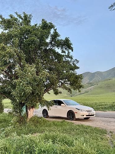 фар виндом: Toyota Windom: 2002 г., 3 л, Автомат, Бензин, Седан — 3