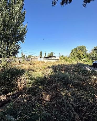 ысык куле: 5 соток, Курулуш, Сатып алуу-сатуу келишими, Кызыл китеп — 2