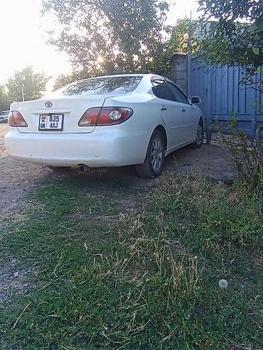 два авто: Toyota Windom: 2002 г., 3 л, Автомат, Бензин, Седан — 3