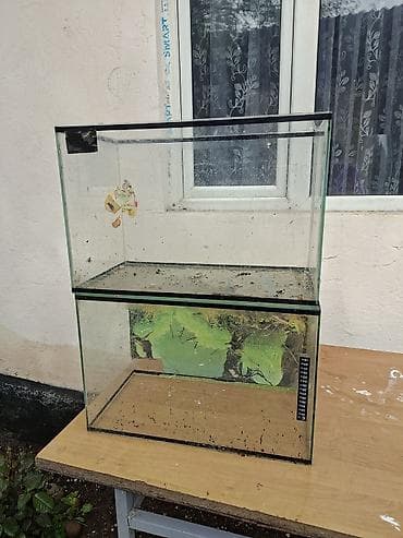 гуппи эндлера: Аквариумы из стекла — 2 шт. - Прямоугольные, без крышек. - — 3