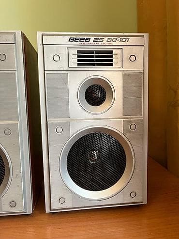 вега 002: Акустическая система ВЕГА 25 АС-101 (пара) - Тип: полочные пассивные — 4