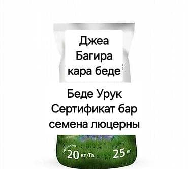 фермы арка: Беде Урук Беде Урук Семена люцерны. Малга тоют. 6жылдык беде — 6