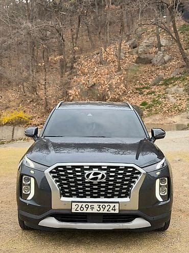 great wall pegasus: Hyundai Palisade: 2019 г., 2.2 л, Автомат, Дизель, Кроссовер — 4