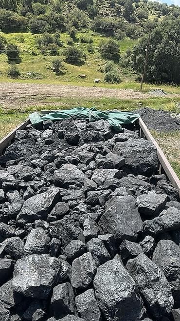 раки вареные: Самовывоз, Платная доставка, В розницу, Фракция: Штыб (Ш), В мешках — 2