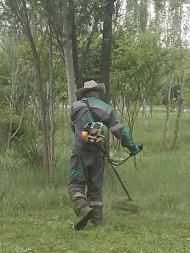 косилка бензиновая: Уборка территории, Стрижка газона — 1