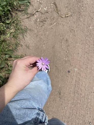 Сдается одна комната для 2 девушек 🏠 📍 Квартира элитка Ihlas 📍 Адрес — 1