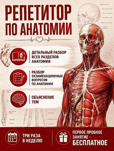 Репетитор по анатомии Подготовка к поступлению в медвузы Если вы