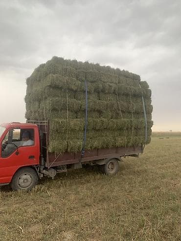 скупка мёда: 1-укос с доставкой любой количества скоро будем косить — 2