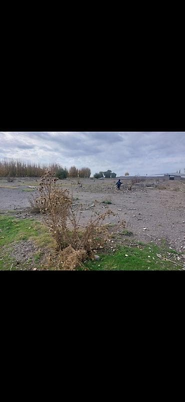 Кыймылсыз мүлк: 66 соток, Бизнес үчүн, Кызыл китеп — 1
