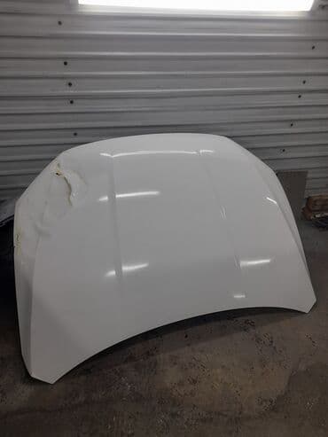 дом на кол: Капот BYD — 5