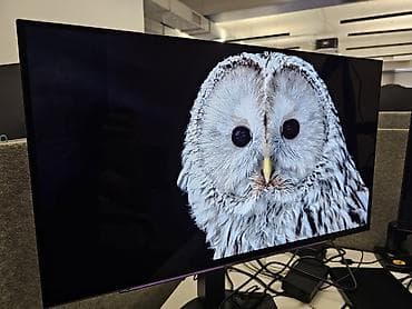 Мониторы: Монитор, LG, Новый, OLED, 26" - 27" — 1