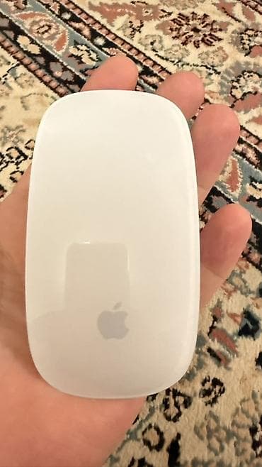magi: Apple Magic Mouse (первое поколение) - Сенсорная верхняя поверхность — 1