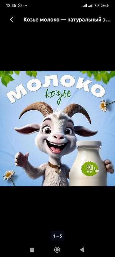 Козье молоко — натуральный эко‑продукт. - Свежий молочный продукт из lalafo.kg да Козье молоко — натуральный эко‑продукт. - Свежий молочный продукт из