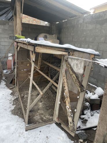 клетка бодоно: Ушул көчмө клетка сатылат абылы жакшы доставка да кылып бере алам — 2