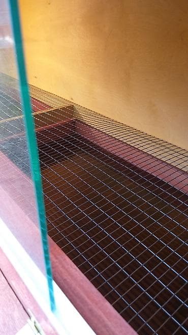 койлор баасы: Брудеры для цыплят. Цена 4800 сом. Размеры. длина 150 см ширина 50 см — 5