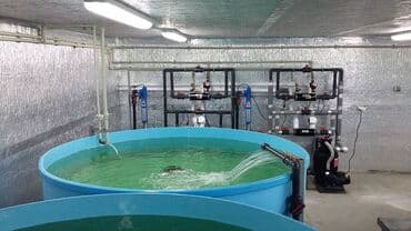 бурение под воду: Бурение скважин Больше 6 лет опыта — 6