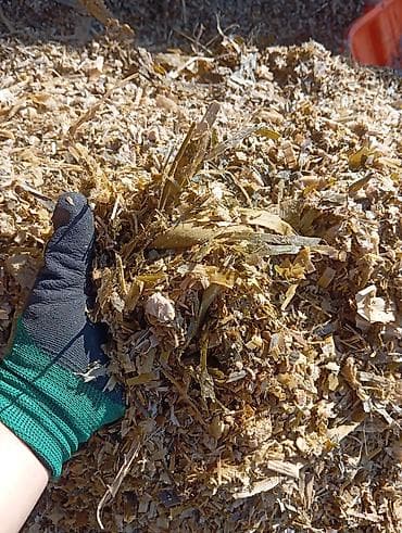 продаю животных: Продаётся силос кукурузный урожай 2025 года Возможна доставка по — 1