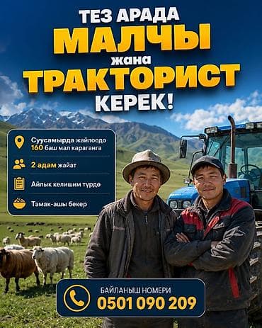 трактори: Требуется Скотник, Оплата: Сдельная, Питание — 1