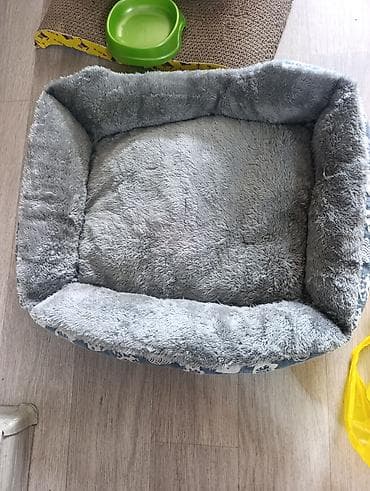 ат минуу: Продаю б/ у аксессуары для кошки. За все прошу 2000с. Все в отличном — 2