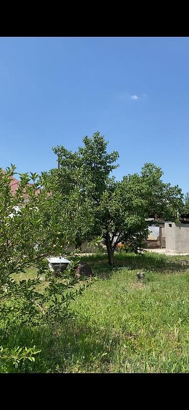 перво май: 9 соток, Для строительства, Красная книга — 1