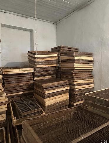 оборудование для кур: Оборудование для птицеводства - Подвесные и напольные поилки/кормушки — 6