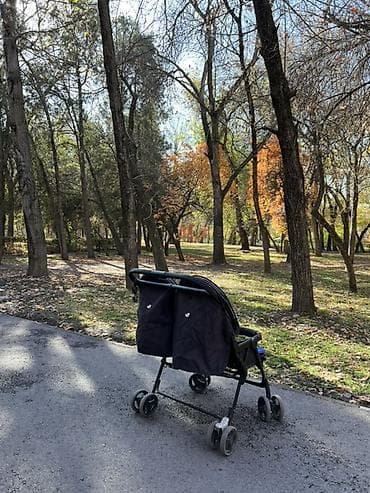 Коляскалар: Прогулочная коляска для двойни Joie (цена окончательная) - Два — 2