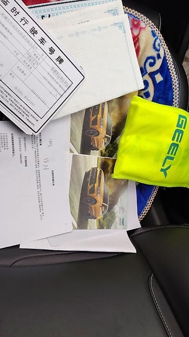 dbscar 2: Geely Tugella: 2019 г., 1.5 л, Автомат, Бензин, Купе — 6