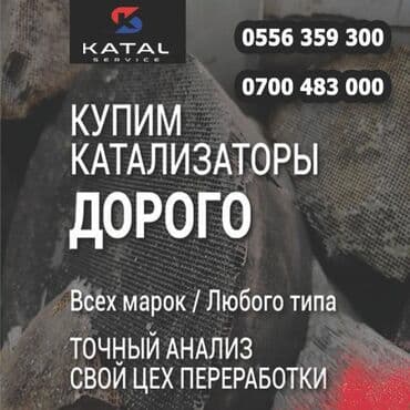 аксессуары для фит: Скупка Катализаторов катализатор алам Каталик катал катик католизотар — 1