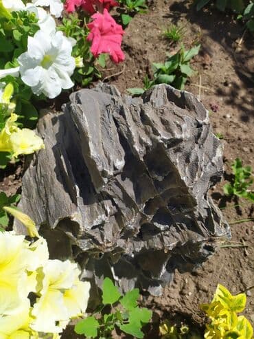 камни для аквариума: Продажа натуральных декоративных камней для ландшафтного дизайна — 14