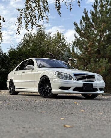 купить щенка дратхаара: Mercedes-Benz, Жаңы, Аналог — 18