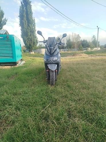 таймер купить: Скутер самурай VILIMI 49/50cc (4-тактный, карбюраторный) - Компактный — 5