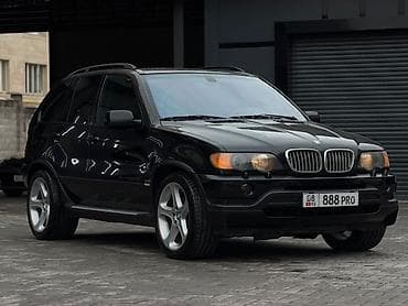 BMW: BMW X5: 2002 г., 4.6 л, Автомат, Бензин, Кроссовер — 6