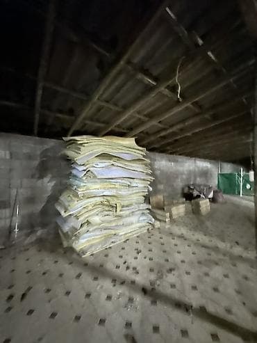 аренда строительные инструменты: Распиловочный станок без ЧПУ, Ленточный — 8