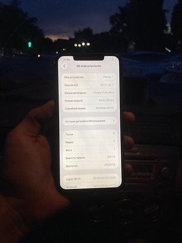 IPhone 11 Pro Max, Б/у, 256 ГБ, Space Gray, Защитное стекло, Чехол, 100 % — 4