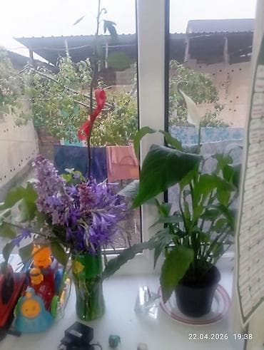 двухъярусные кроват буи: Двухъярусная детская кровать, ЛДСП, цвет - Розовый — 2