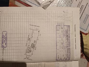 Продаю. Пол — 6