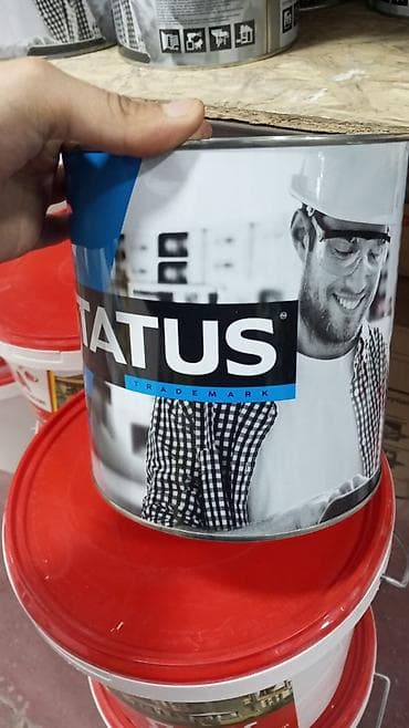 Эмаль ПФ-115 STATUS (алкидная, глянцевая)2.6 кг на 12-15