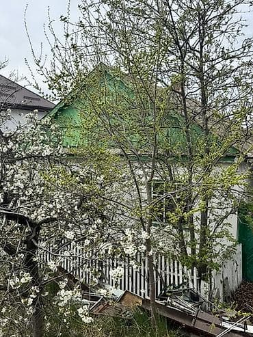 аренда домов кок жар: Отдам даром шифер, рамы, двери и прочее. Само разбор и само вывоз в — 1