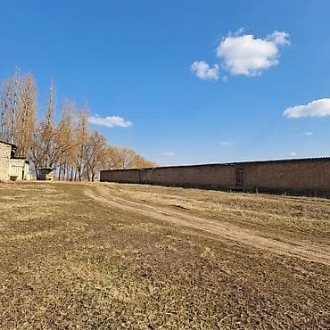 51 соток, Для сельского хозяйства, Договор купли-продажи at lalafo.kg 51 соток, Для сельского хозяйства, Договор купли-продажи