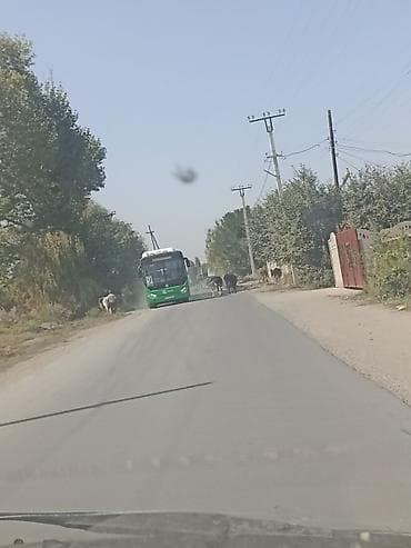 участок воз: Дом в с. Военно-Антоновка, Ж/Д станция рядом до города 25-30 минут,ещё — 10