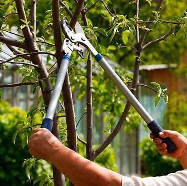 набор ключе: Услуга: стрижки и обрезки садовых растений. Стрижки газоны, кусты — 4